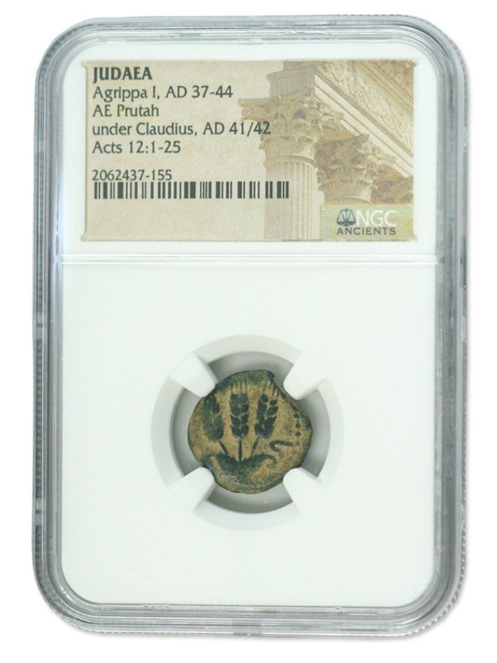 Judaea Agrippa I Bronze Prutah AD 37-44 NGC Ancient